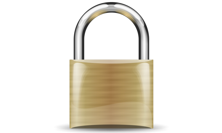 SSL Security (padlock image)